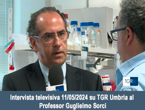  Intervista televisiva 11/05/2024 su TGR Umbria al Professor Guglielmo Sorci
