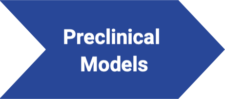 preclinical models