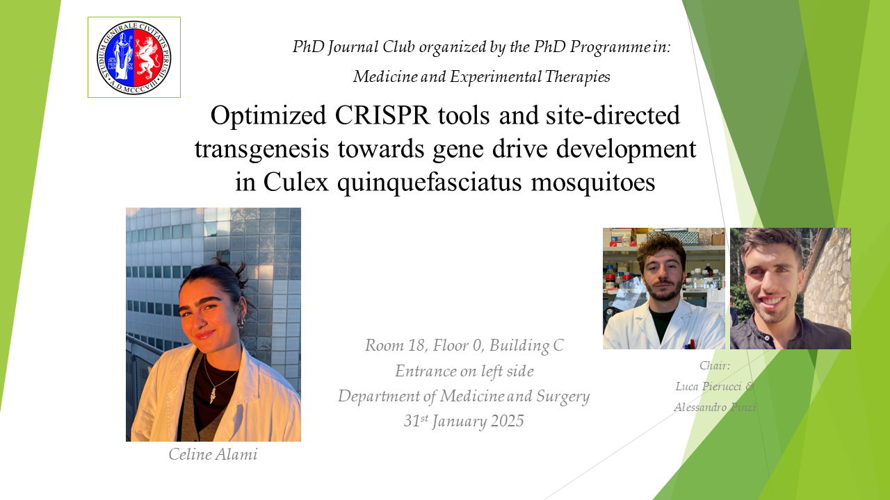 Optimized CRISPR tools and site-directedtransgenesis towards gene drive developmentin Culex quinquefasciatus mosquitoes