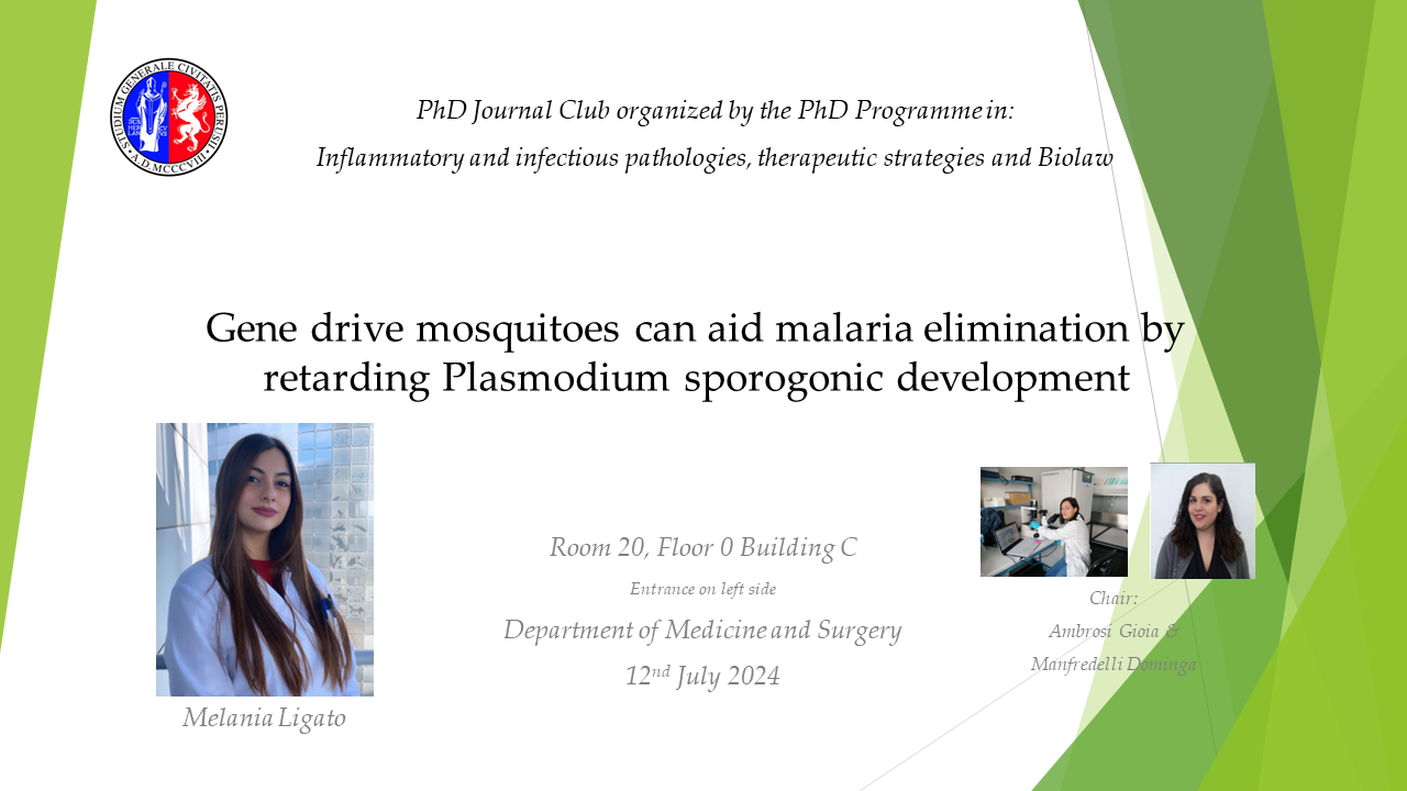 Gene drive mosquitoes can aid malaria elimination by retarding Plasmodium sporogonic development