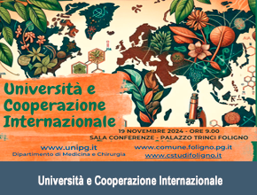 Università e Cooperazione Internazionale