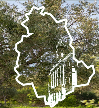 25o&nbsp;Congresso della International Society of Ethnopharmacology